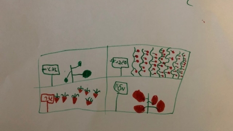 איתי זקס, כיתה ב, תורת משה.jpg